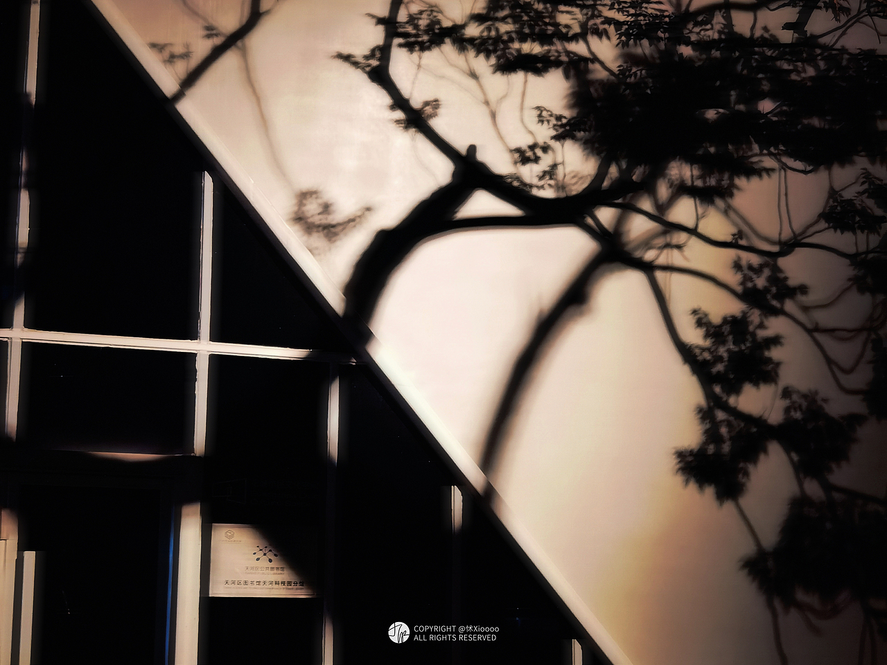 2023怵xiooo手机摄影