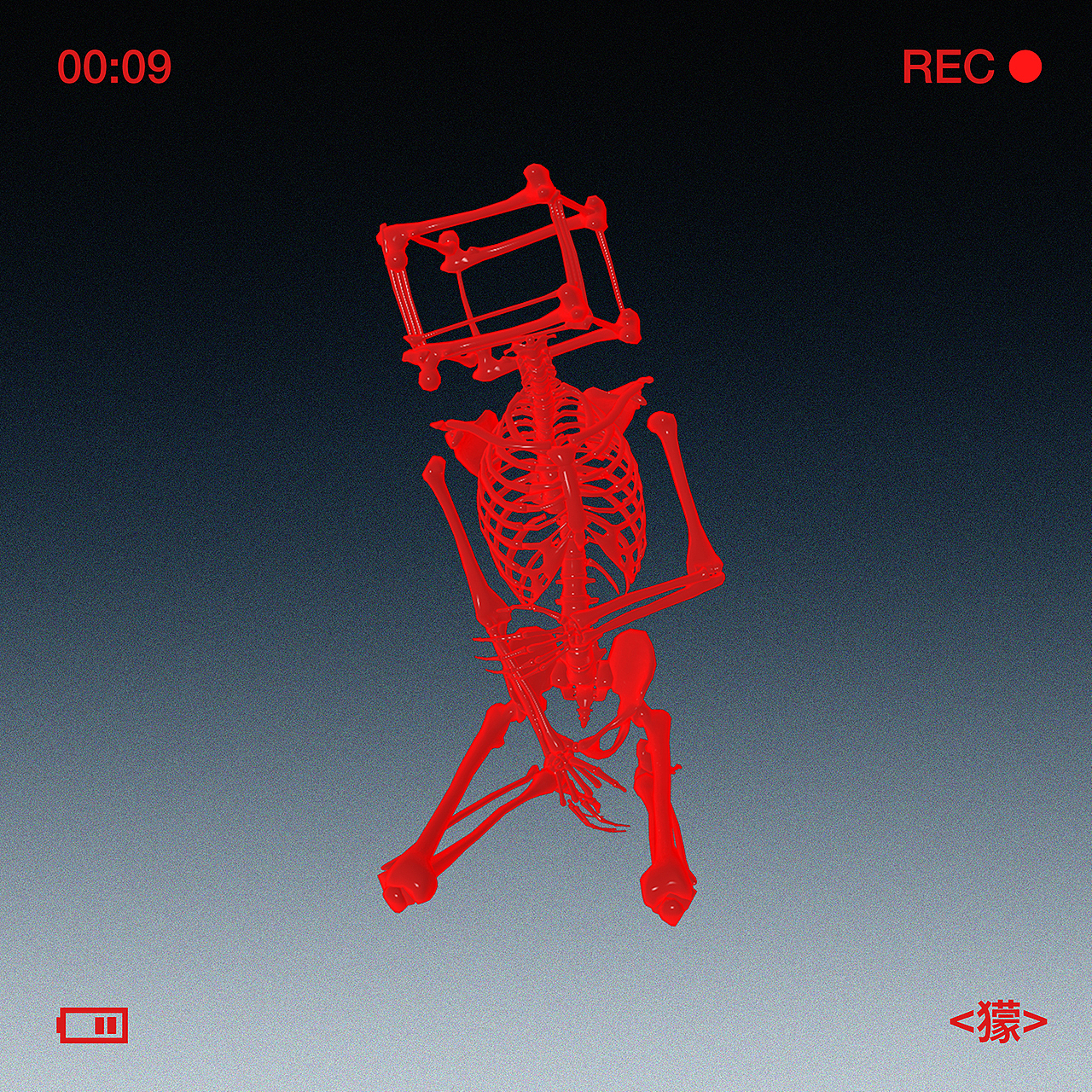 #2022青春答卷#动物园