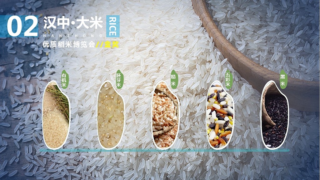 汉中推介PPT（图ZMjExOTQ0ODMy） - PPT/Keynote - 站酷设计师2031000743原创素材 - 站酷ZCOOL