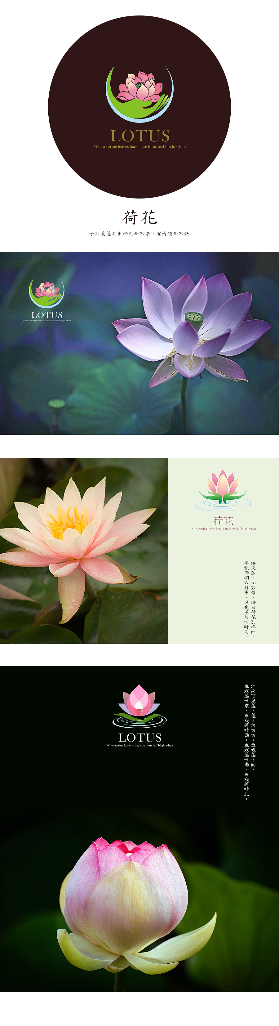 荷花LOGO（图ZNzA1MzU4NDQ=） - Logo - 站酷设计师moonbus原创素材 - 站酷ZCOOL