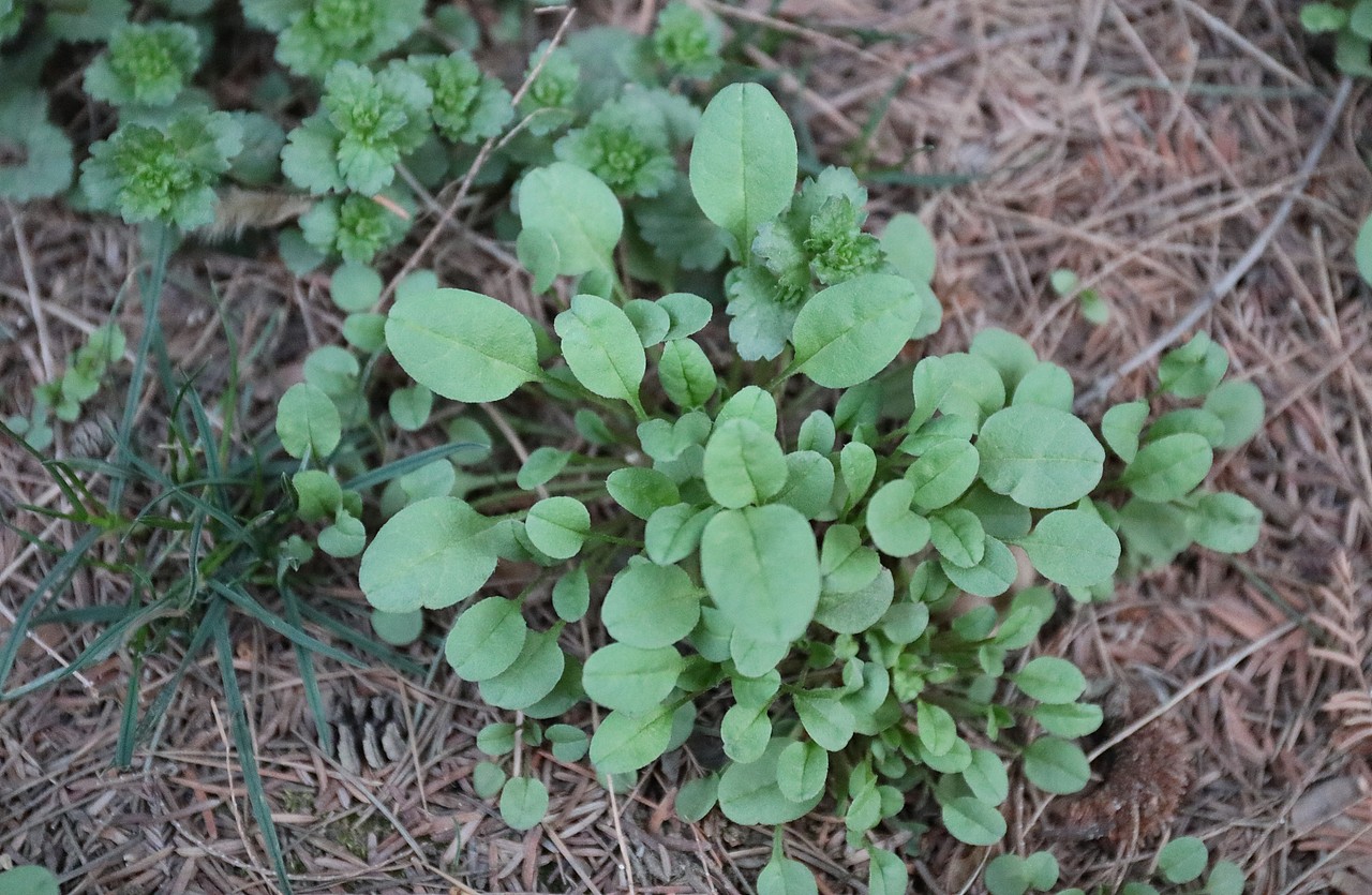 傍晚的校园（图ZMjkxNzUxMzA4） - 人文/纪实摄影 - 站酷设计师Z961603065原创素材 - 站酷ZCOOL