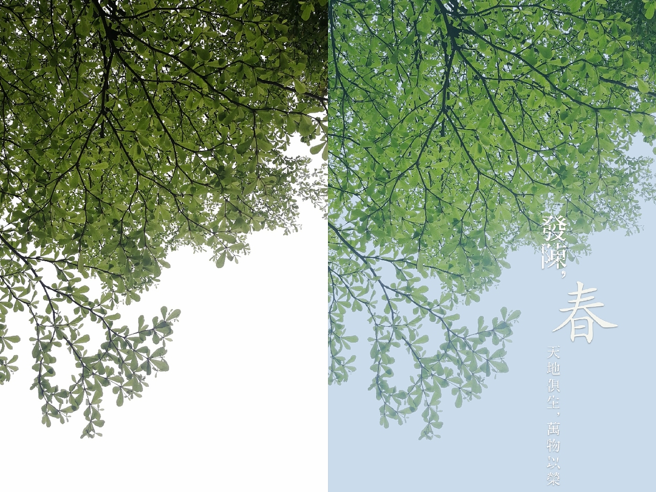 手机摄影及手机后期七片