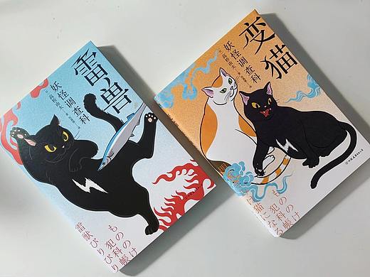 图书封面设计 | 插画 | 妖怪调查科《雷兽》《变猫》