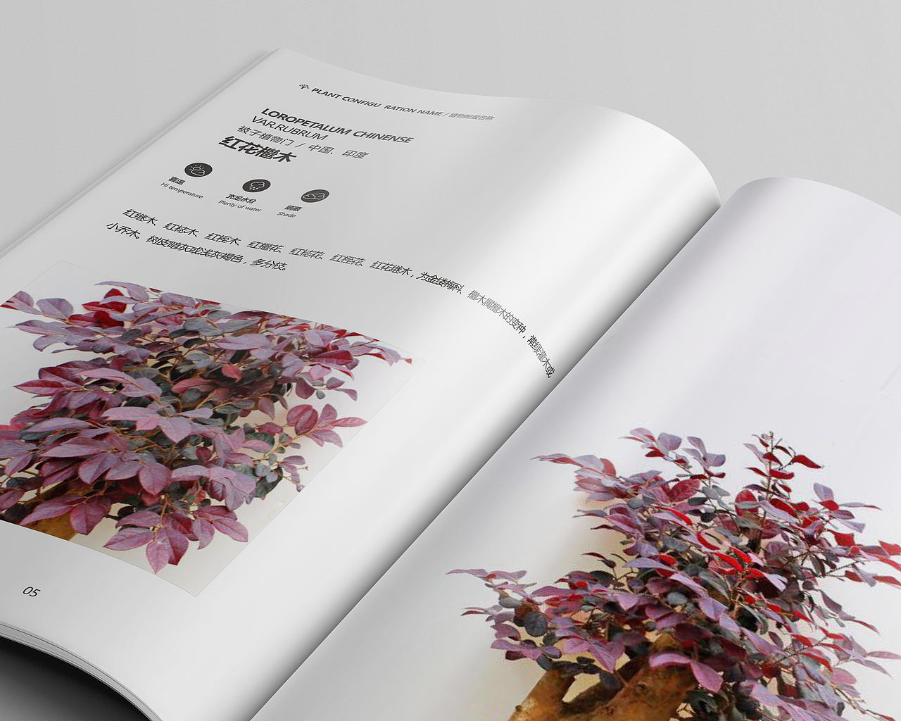 景观植物配置（图ZOTM4OTE1NzY=） - 书籍/画册 - 站酷设计师黄黄黄黄家胜原创素材 - 站酷ZCOOL