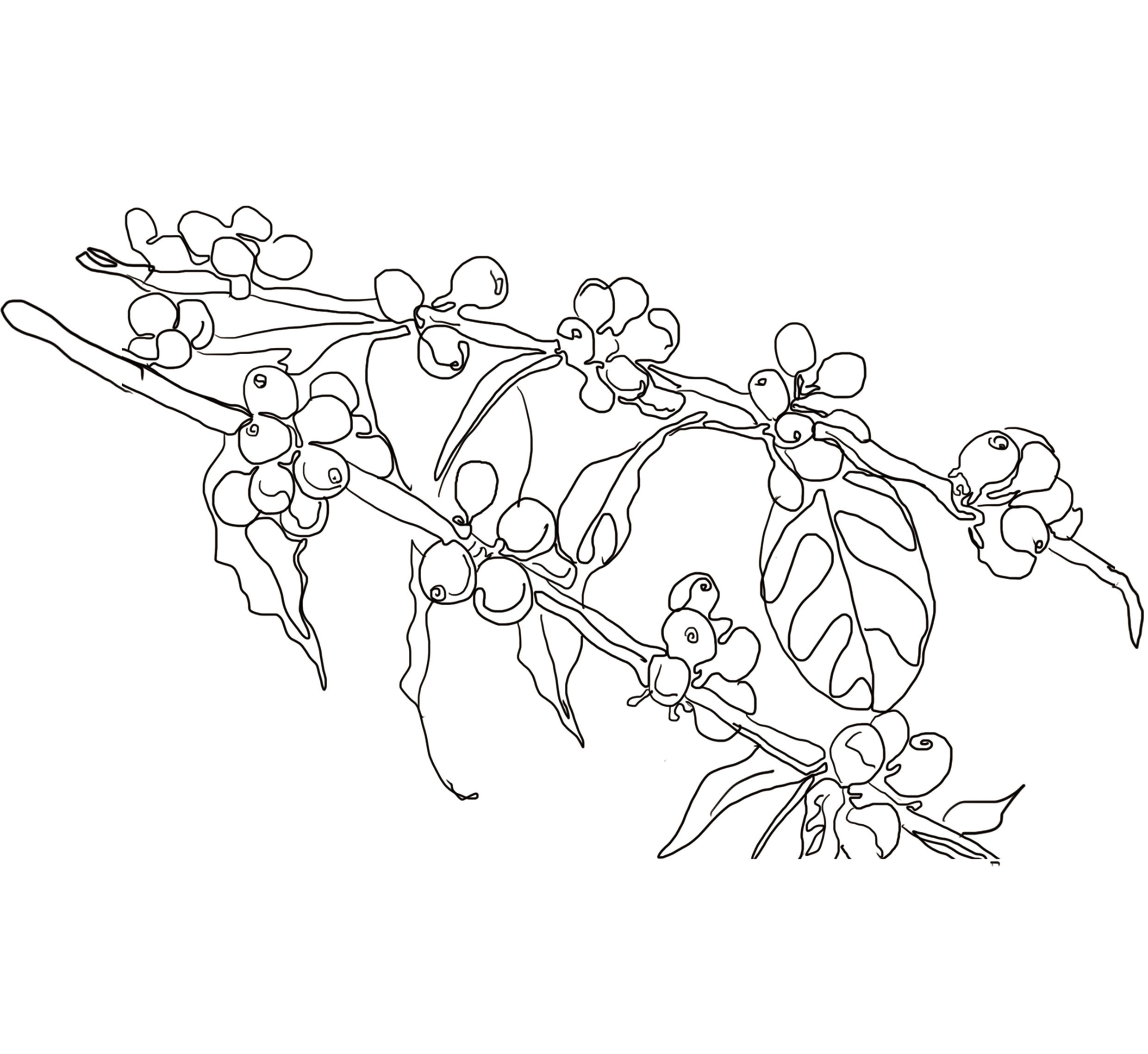 一家慵懒的咖啡品牌设计|平面|品牌|子非乌鸦 - 原创作品 - 站酷 (zco