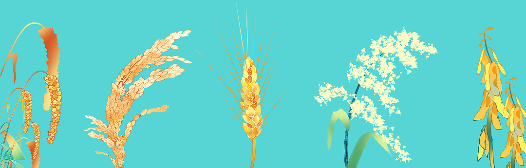 天坛——建筑×礼乐（图ZMjY5MDMzMzAw） - 商业插画 - 站酷设计师Yang氧化原创素材 - 站酷ZCOOL