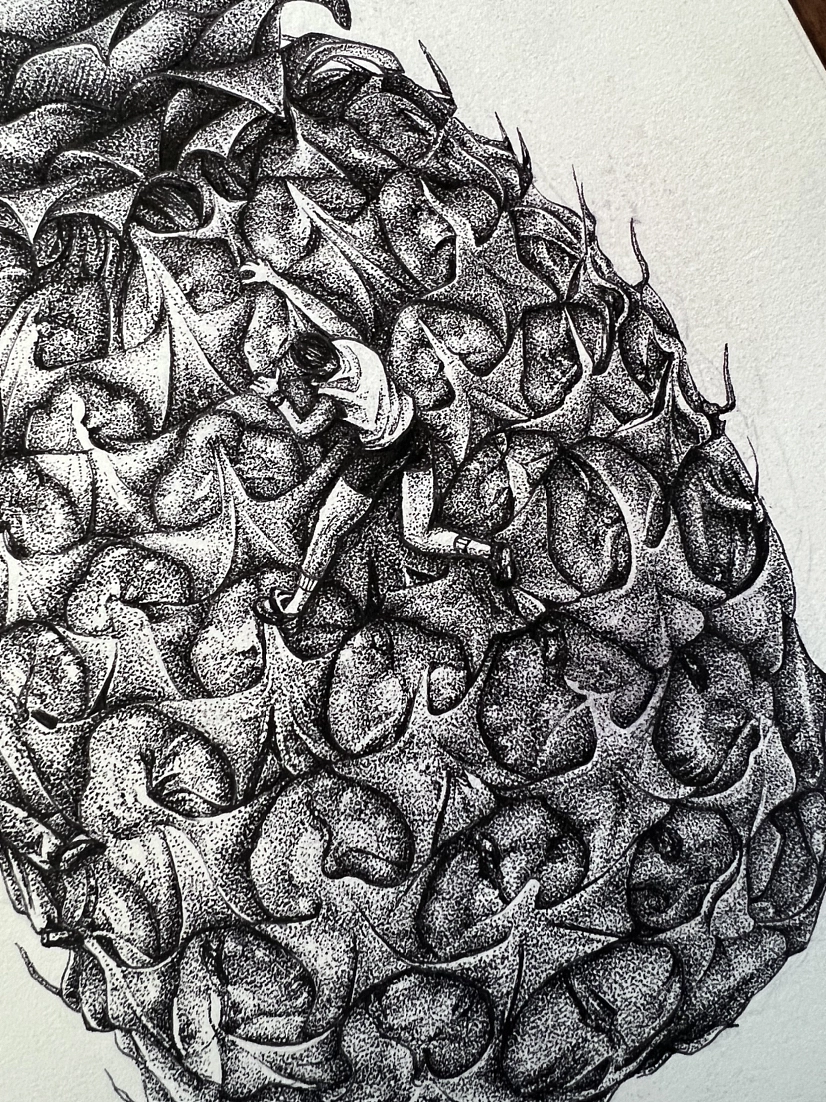 钢笔点绘——菠萝联想