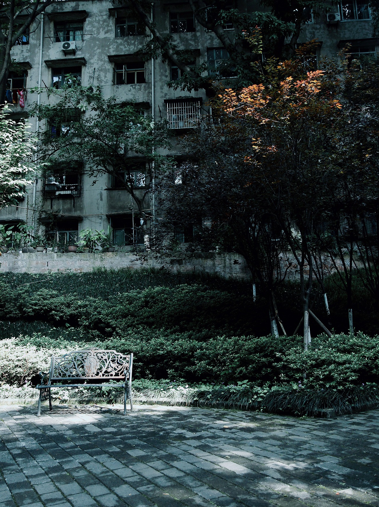 我们径自认为的所有意义（图ZNTA2NDMyMDA=） - 风光摄影 - 站酷设计师阿肉_原创素材 - 站酷ZCOOL