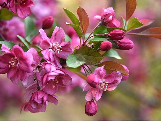 攝影（個人主頁-ZMjY5ODIxMDQ=） - 風(fēng)光攝影 - 站酷設(shè)計師設(shè)計師的靈感原創(chuàng)素材 - 站酷ZCOOL