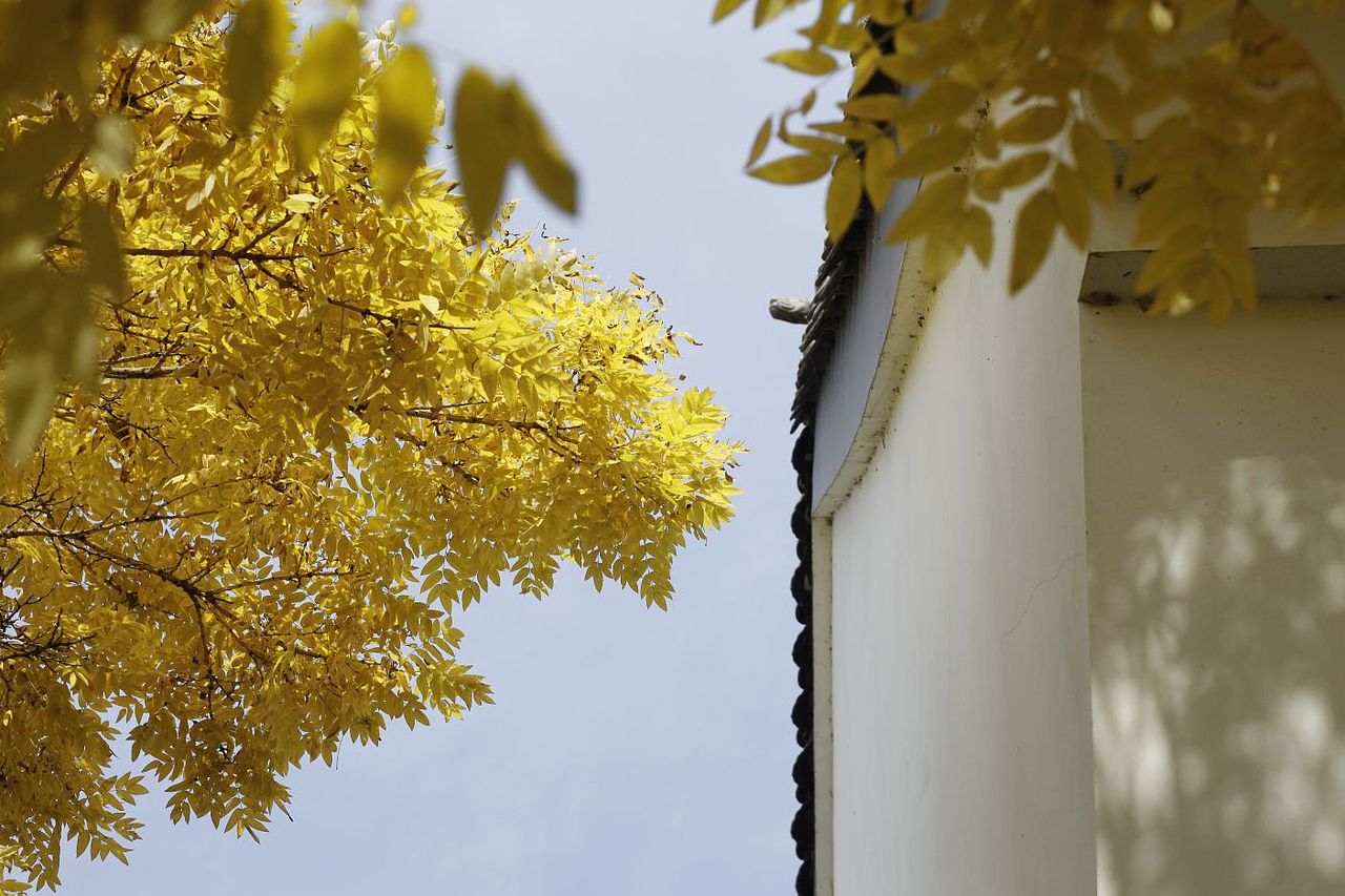 2022年的秋天-青海篇（图ZMzE3OTA3Mjg4） - 风光摄影 - 站酷设计师乌鸦的麦田原创素材 - 站酷ZCOOL