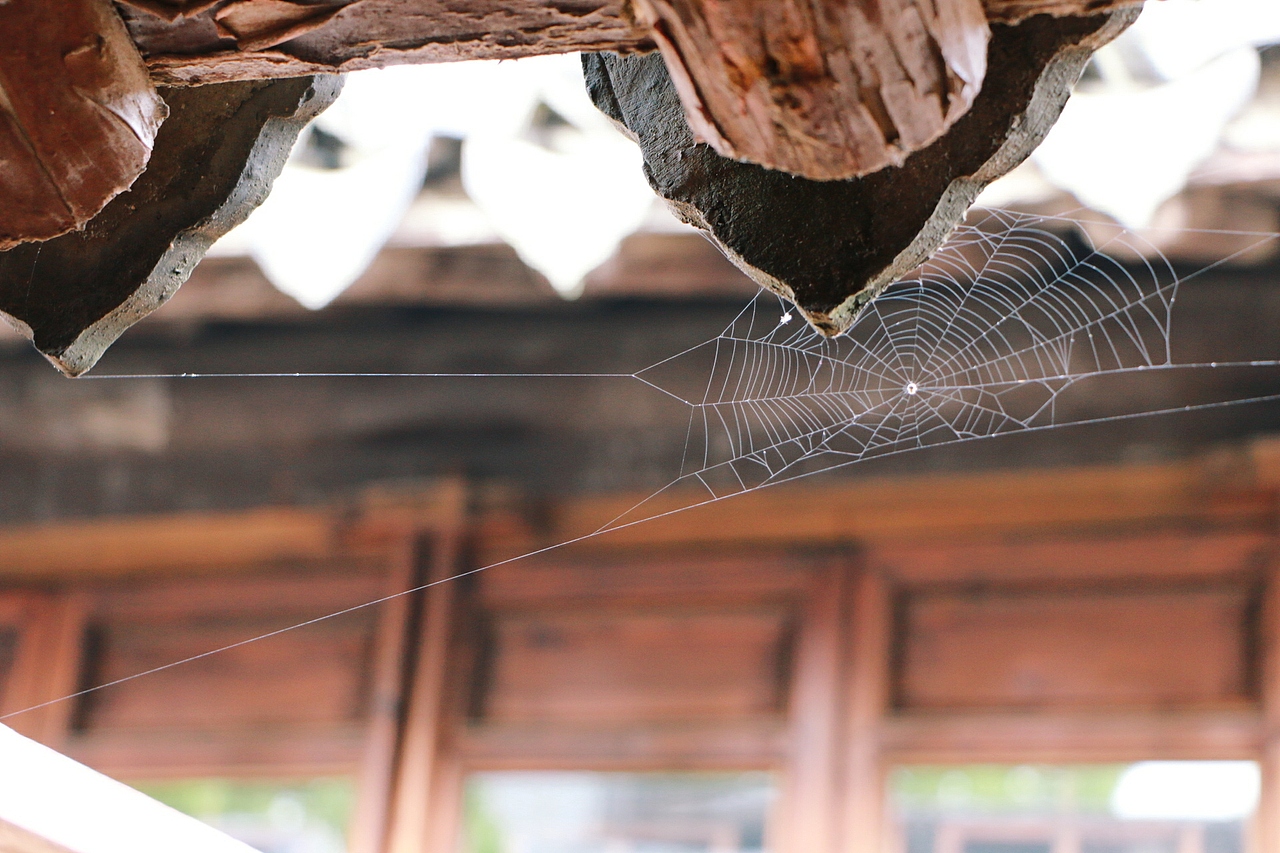 还不够好,但是我要学着努力长大