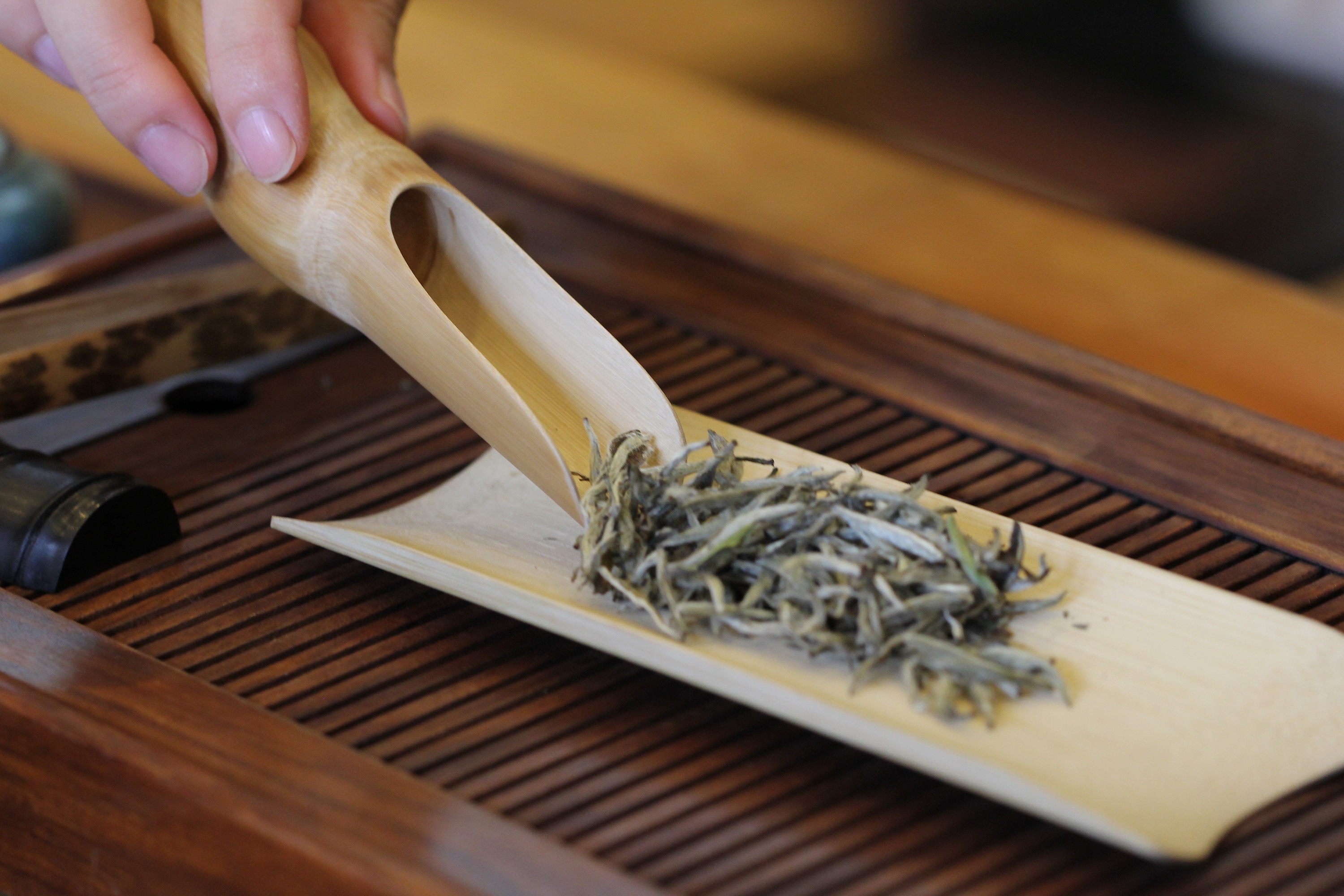 茶艺师常用5种注水冲泡方式，即学即会，秒变泡茶高手！__凤凰网