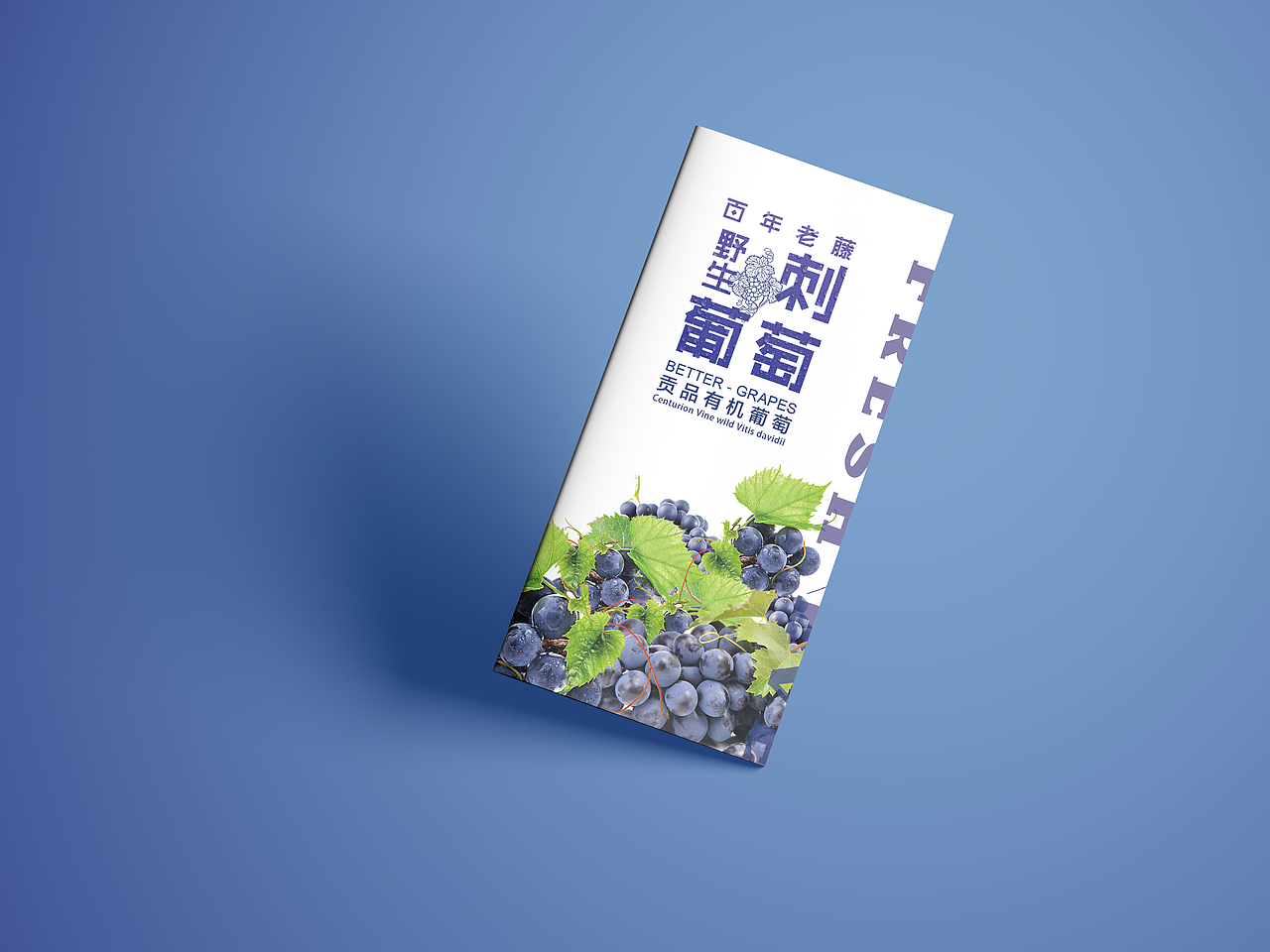 一款水果三折頁（圖ZMTA2MzQwOTAw） - 書籍/畫冊 - 站酷設計師小邊設計原創(chuàng)素材 - 站酷ZCOOL