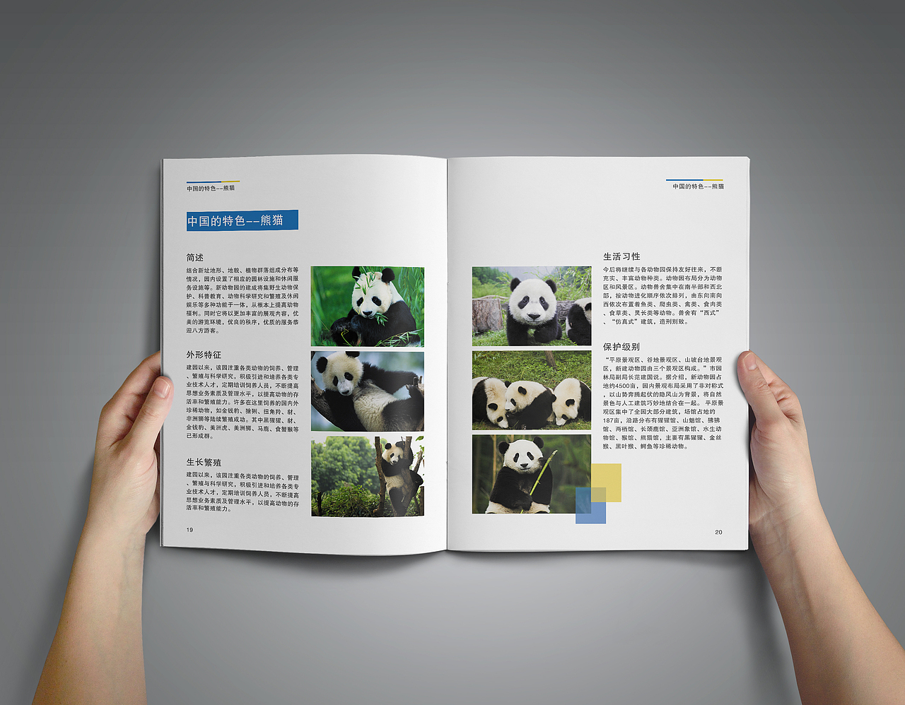 动物园画册（图ZNjk1OTUwODg=） - 书籍/画册 - 站酷设计师猫小曼原创素材 - 站酷ZCOOL