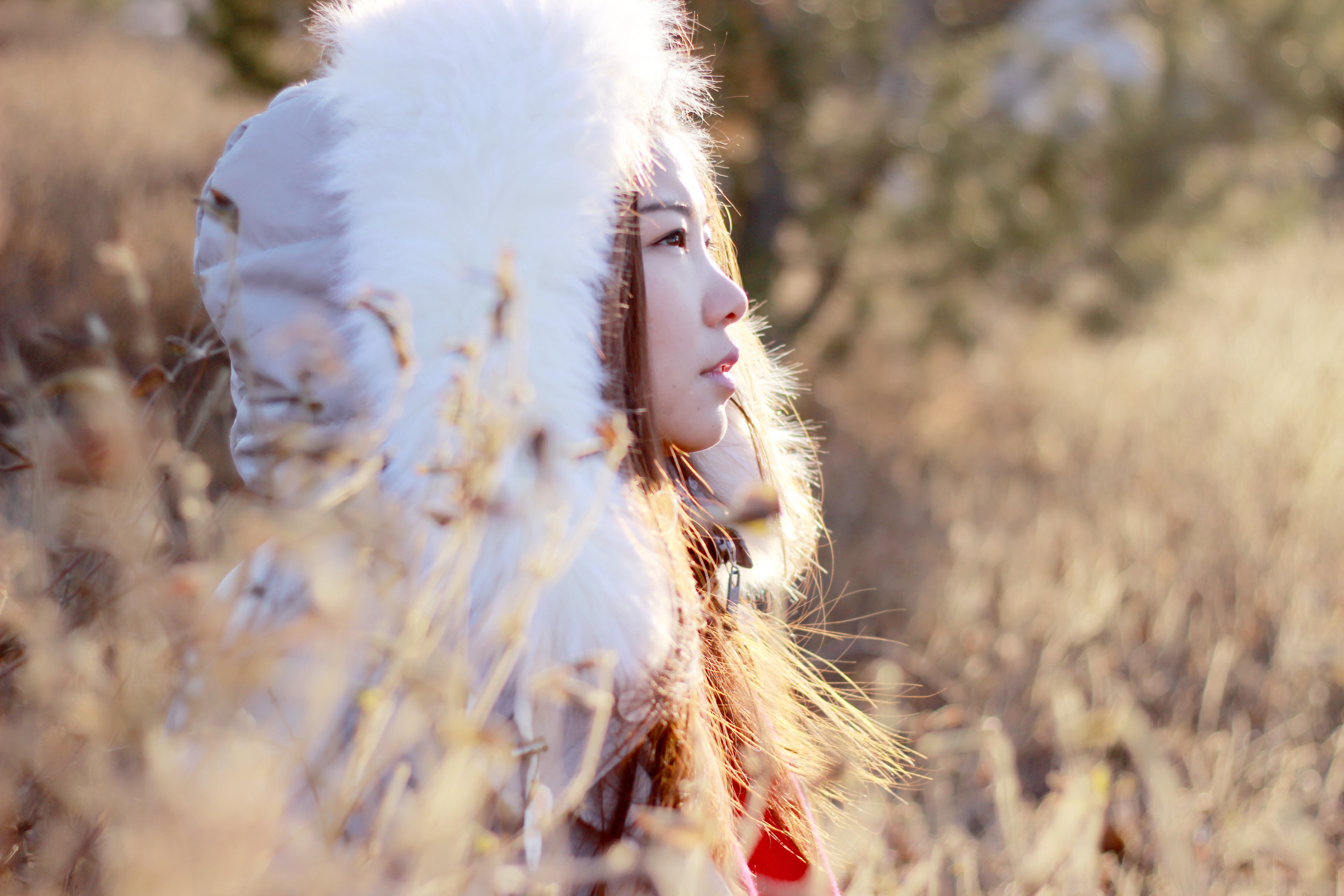 春.雪