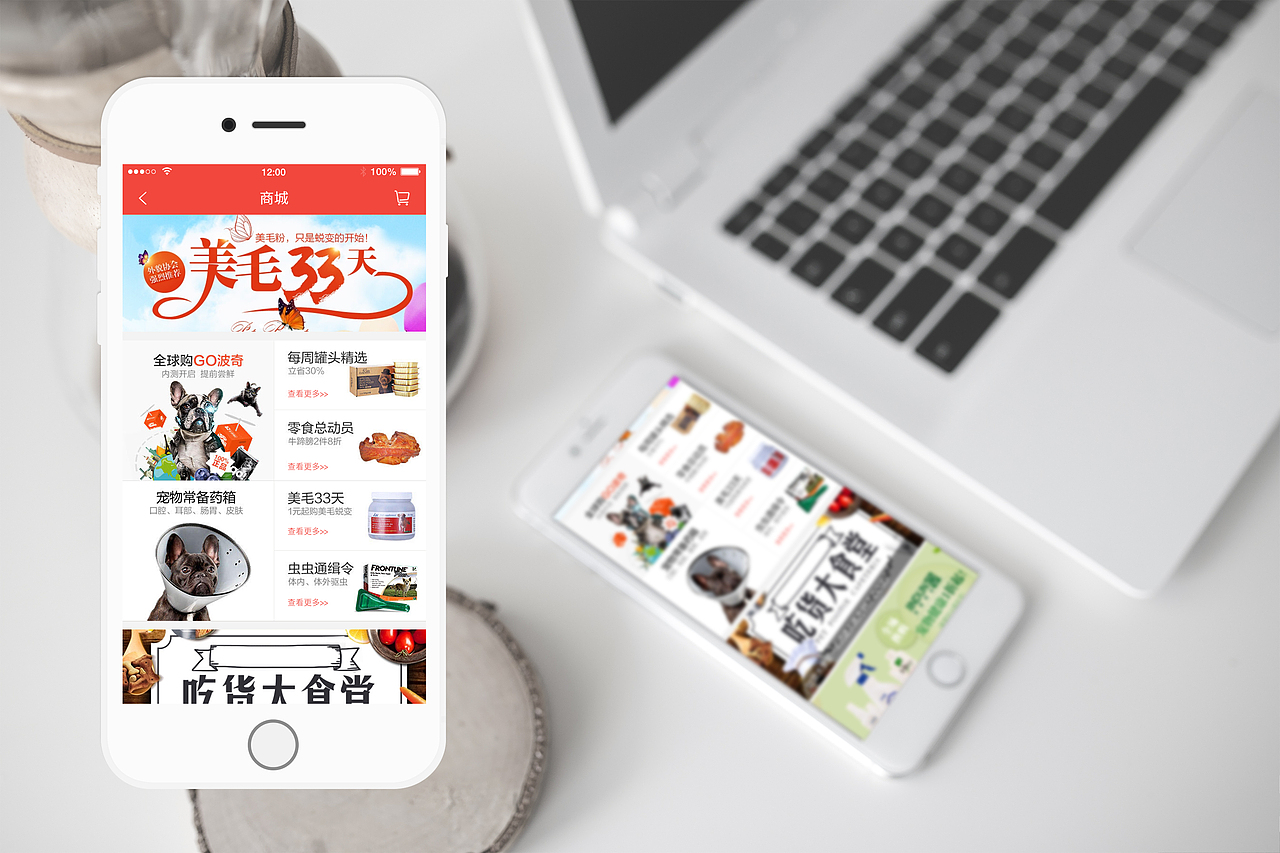 宠爱有家（图ZNDk3MTI2NDQ=） - 其他 - 站酷设计师BIUDING原创素材 - 站酷ZCOOL
