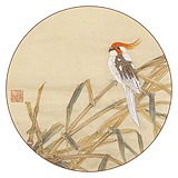澹墨的头像