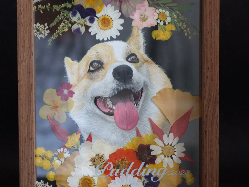 丙烯搭配干花的宠物装饰画