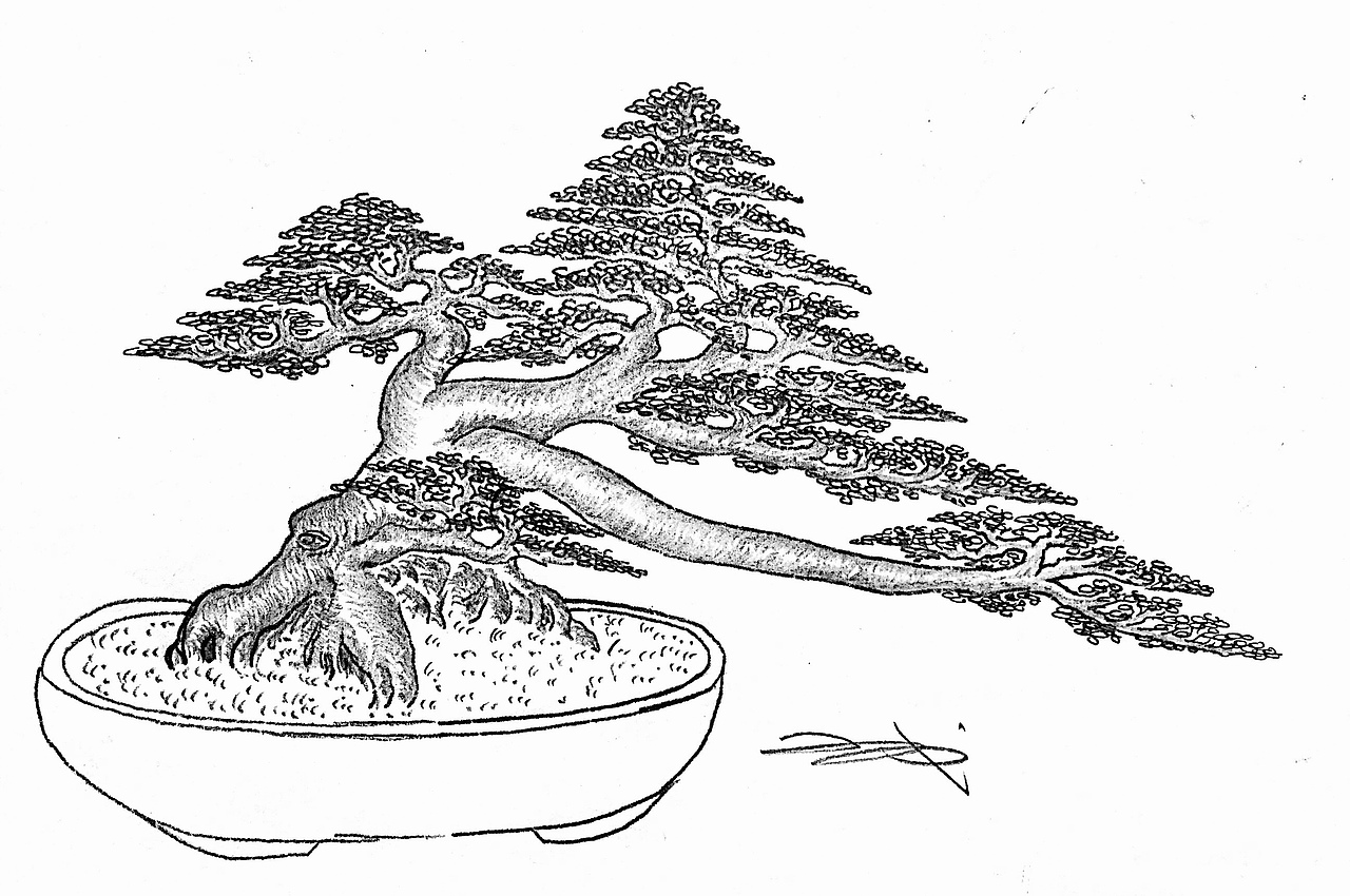 吕绍武手绘盆景设计效果图（图ZMTY4MDkwNzUy） - 绘画 - 站酷设计师慧武原创素材 - 站酷ZCOOL