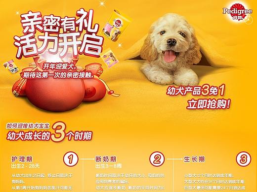 电商页面设计（个人主页-ZNDA0NTg5ODg=） - 电商 - 站酷设计师hanyiyi原创素材 - 站酷ZCOOL