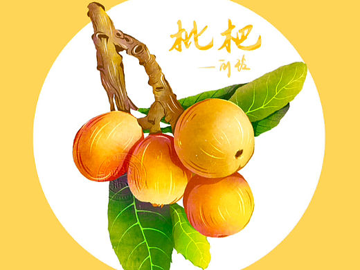 枇杷 商业插画 扁平肌理风插画