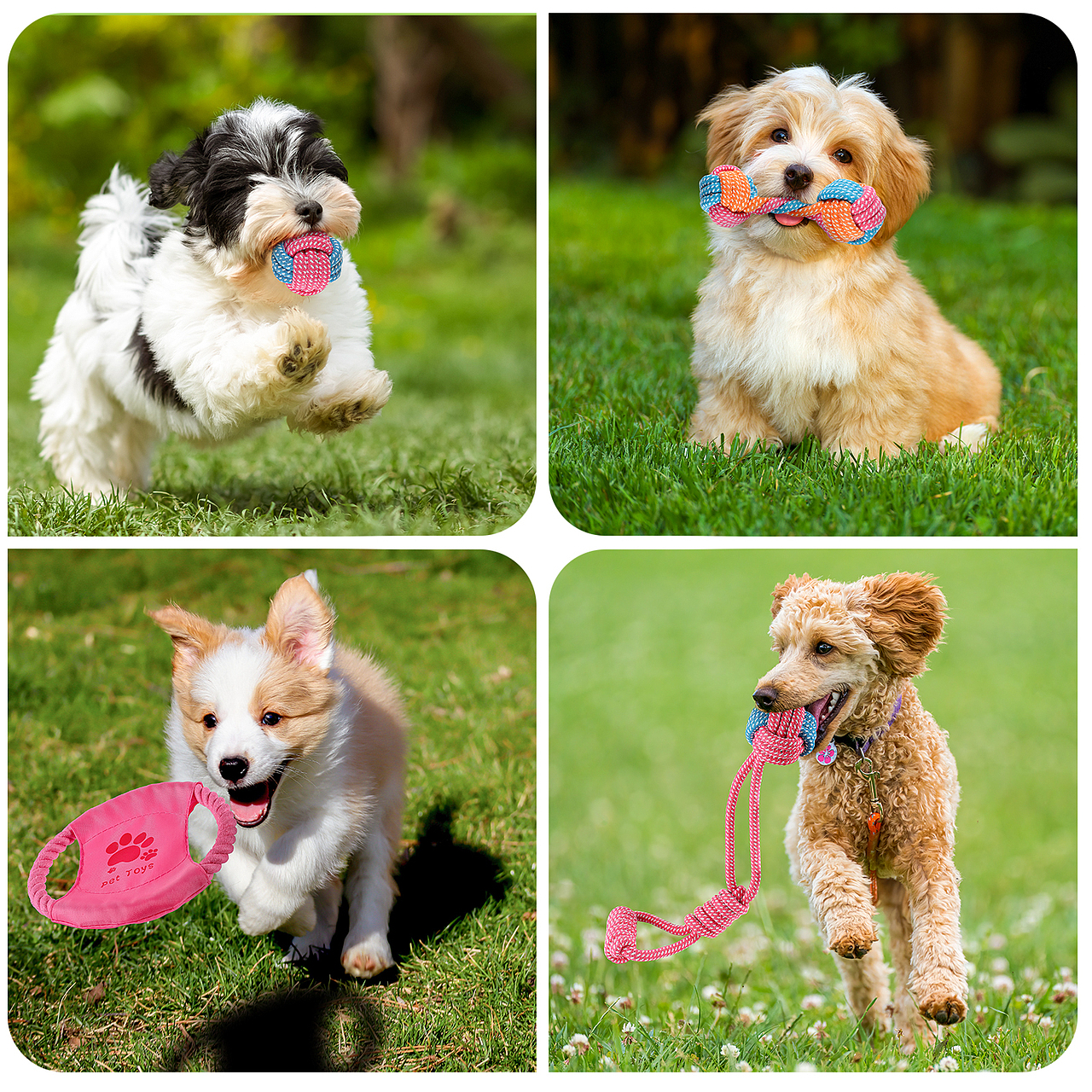 亚马逊宠物玩具主图&A+（图ZMjg5MTAxNzI0） - 电商 - 站酷设计师XIAOLIN琳原创素材 - 站酷ZCOOL