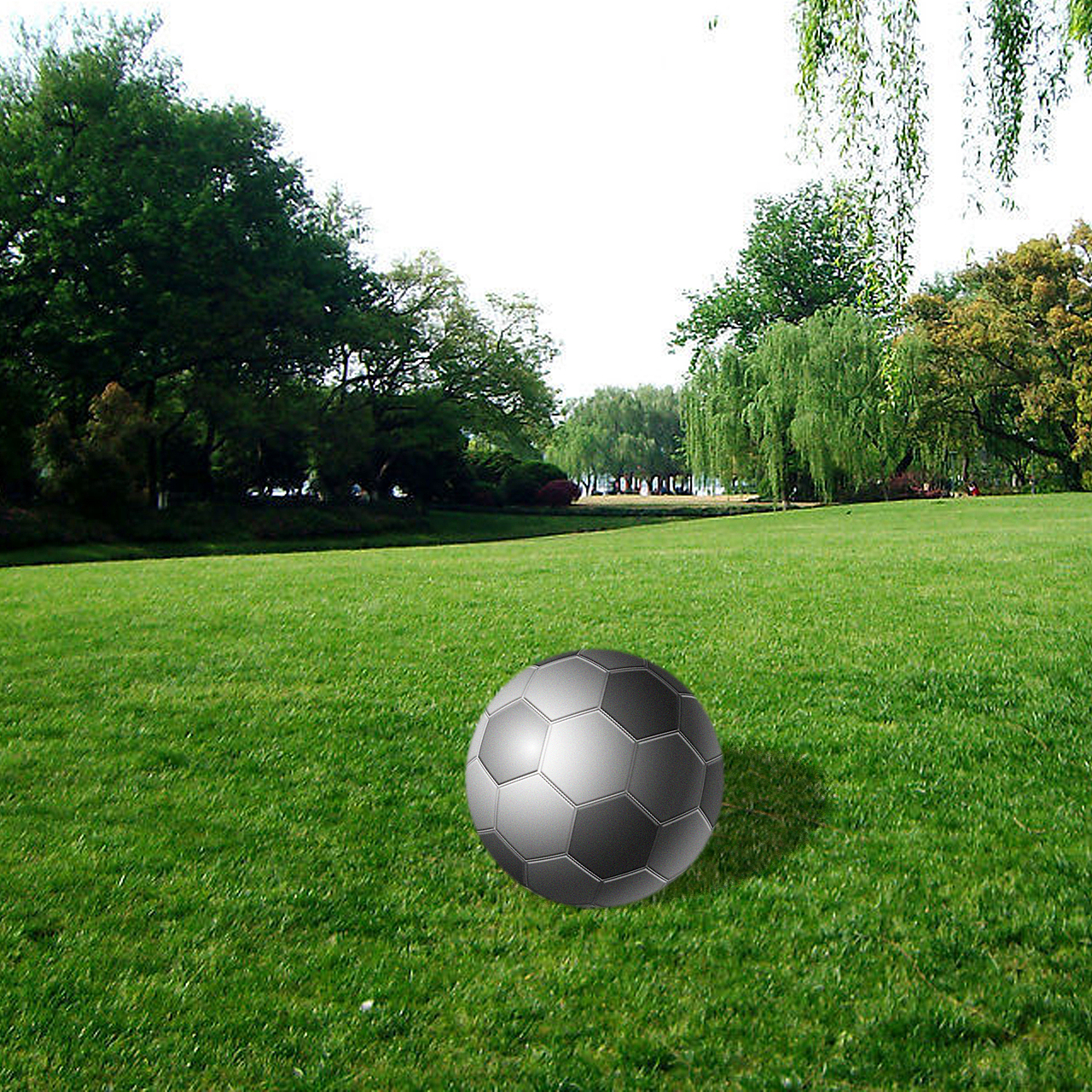 大一刚接触AI和PS时候的作业