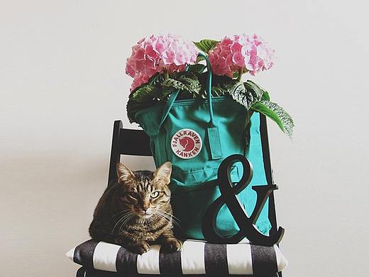 那些年 做过的天猫品牌街H5（个人主页-ZMjg4NTU4NzI=） - 电商 - 站酷设计师野风777原创素材 - 站酷ZCOOL
