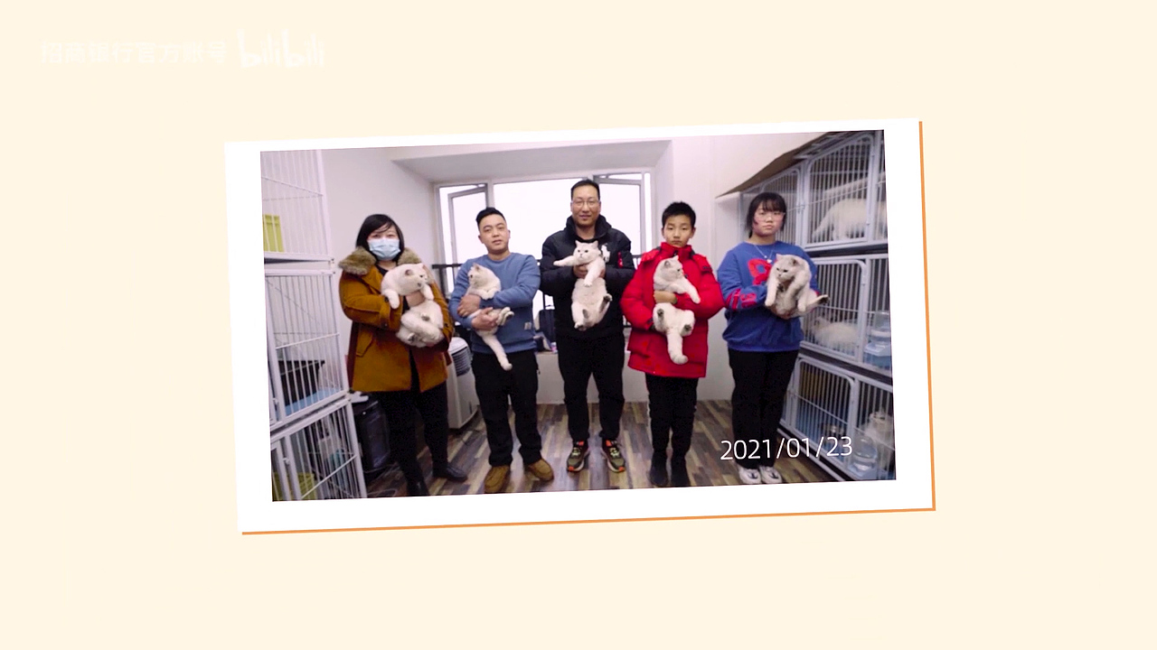 《留守武汉的喵》品牌公益纪录片丨招商银行（图ZMjQ3MTQzMzY0） - 影视后期 - 站酷设计师柴荣生原创素材 - 站酷ZCOOL