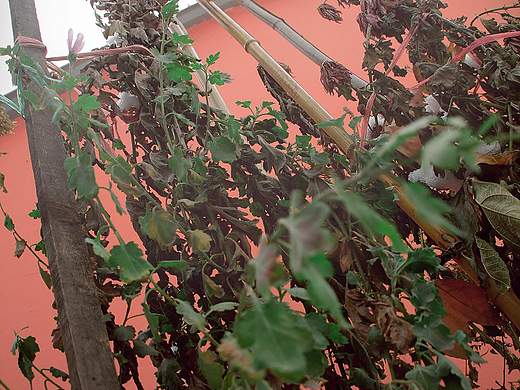 随笔2（个人主页-ZMzE2NDY4MA==） - 风光摄影 - 站酷设计师dillon叁点零原创素材 - 站酷ZCOOL