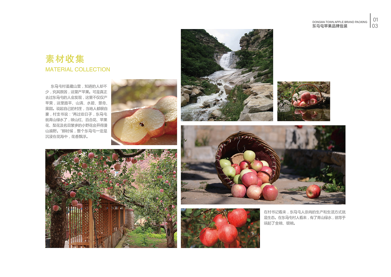 毕业手册（图ZMTY4OTc4Nzg0） - 书籍/画册 - 站酷设计师zln张丽娜原创素材 - 站酷ZCOOL