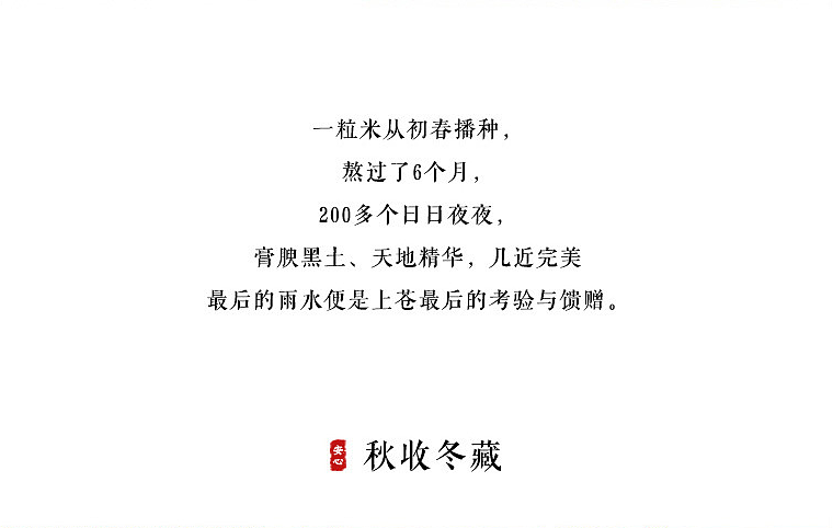 大米（图ZMTM1ODcxNzg4） - 电商 - 站酷设计师理想智造视觉设计原创素材 - 站酷ZCOOL