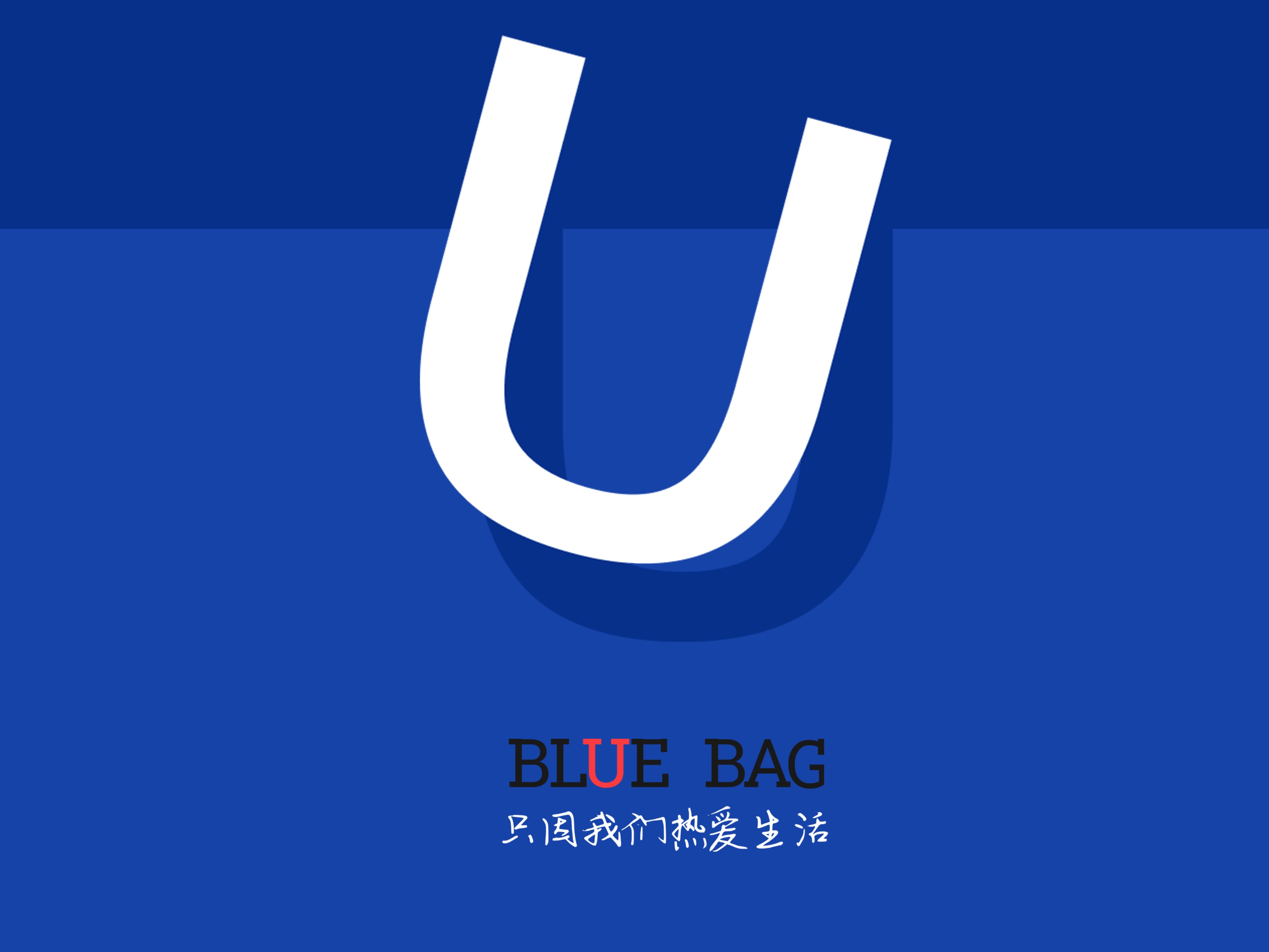 蓝色购物袋