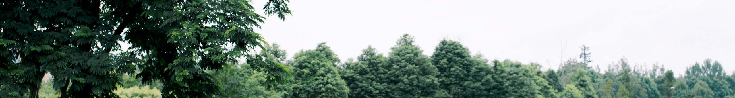 栗子Meustudio的個人主頁（封面預覽） - 主頁封面設置 - 站酷設計師栗子Meustudio原創(chuàng)素材 - 站酷ZCOOL