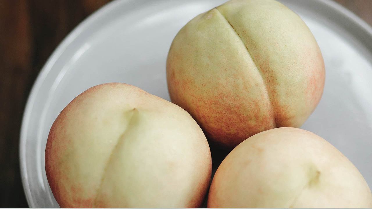 桃岛 - 日本料理Logo设计（图ZMjgwNjYzNjY0） - Logo - 站酷设计师xinai2021原创素材 - 站酷ZCOOL