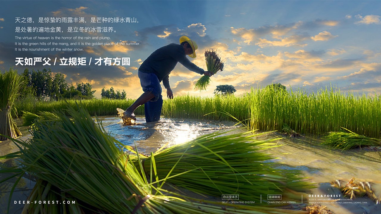 米业全案策划IP延展品牌设计#秉晟文化#