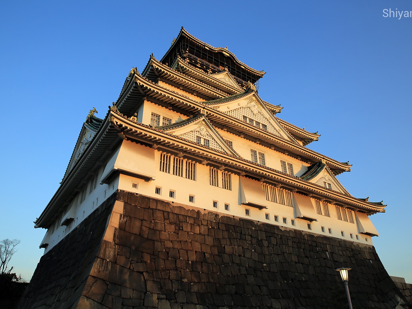 岛国随拍_京城老饕站酷ZCOOL