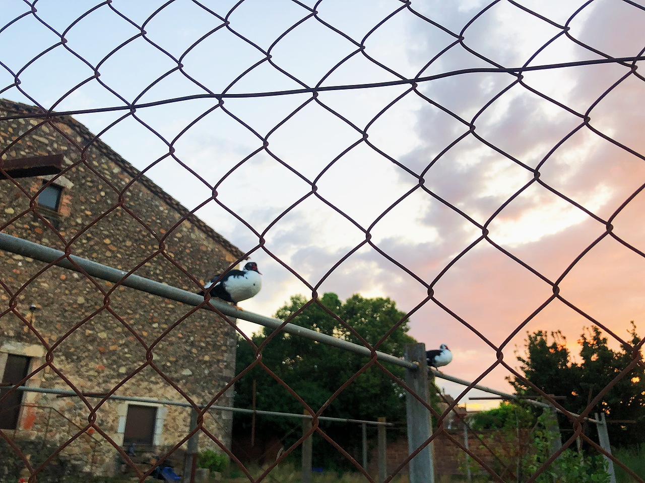 My Travelling in Europe <Spain&France>