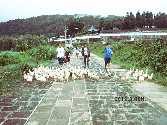 彩云之南（图ZNTQwMTQxMTI=） - 风光摄影 - 站酷设计师無邉原创素材 - 站酷ZCOOL