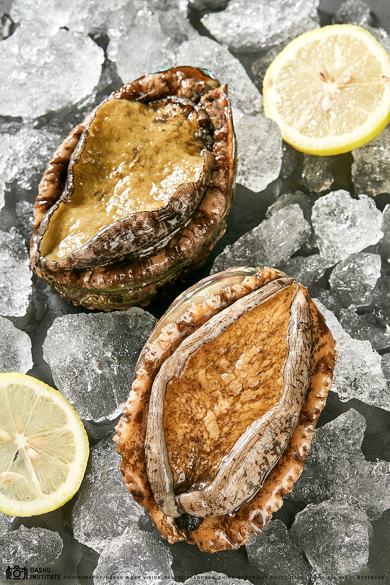 野生鲍鱼（图ZMjc4MTg5MjY0） - 美食摄影 - 站酷设计师摄影小林原创素材 - 站酷ZCOOL