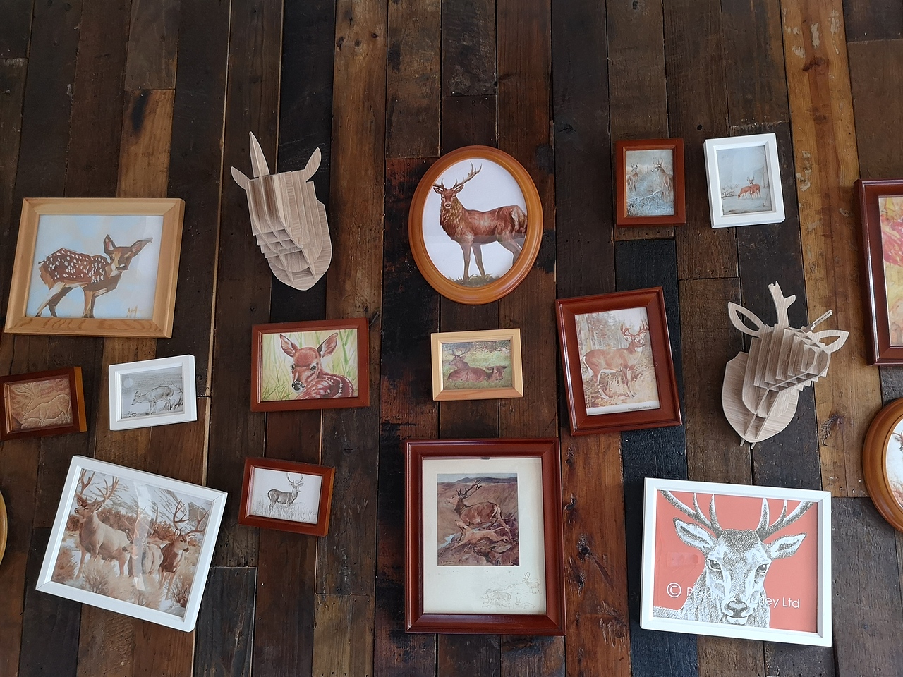 2019红帽子皮划艇俱乐部(拓展,团建)活动照片