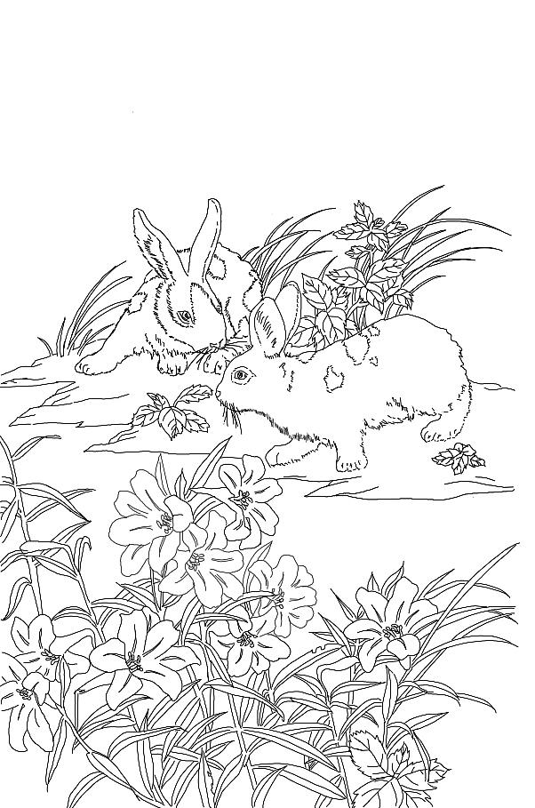 临摹线稿（图ZMTg4MzgyODIw） - 创作习作 - 站酷设计师青于浅原创素材 - 站酷ZCOOL