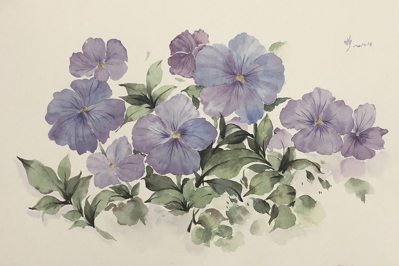水彩花卉临摹