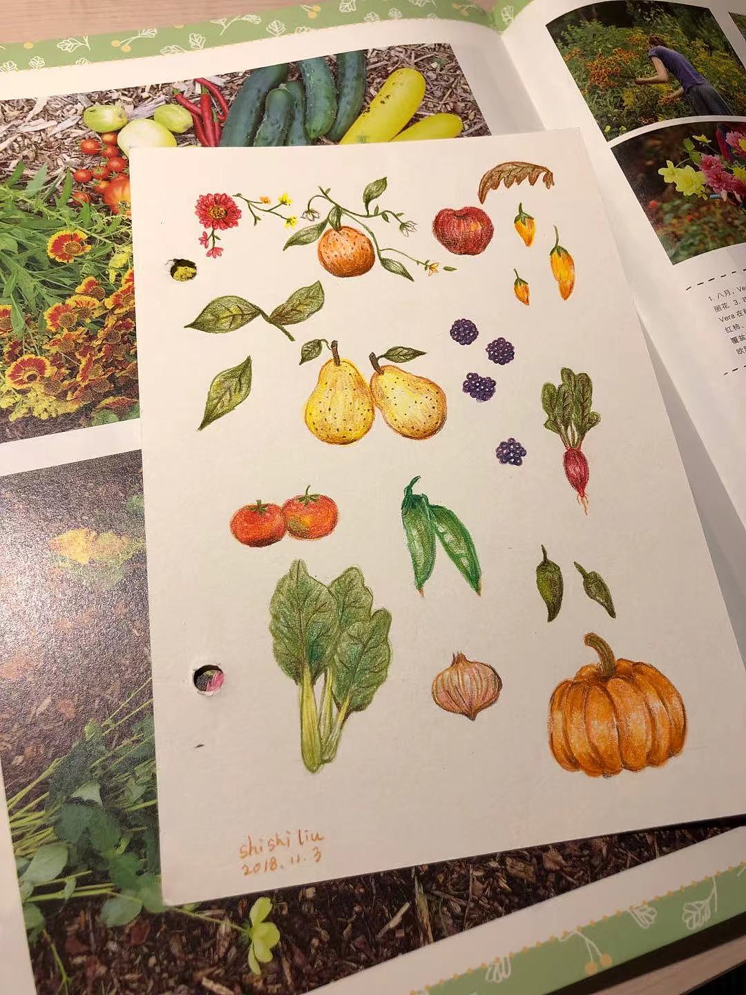 治懒癌随笔（图ZMjU2MzAxNDIw） - 创作习作 - 站酷设计师ccccliu原创素材 - 站酷ZCOOL