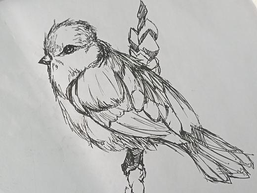 手绘摸鱼