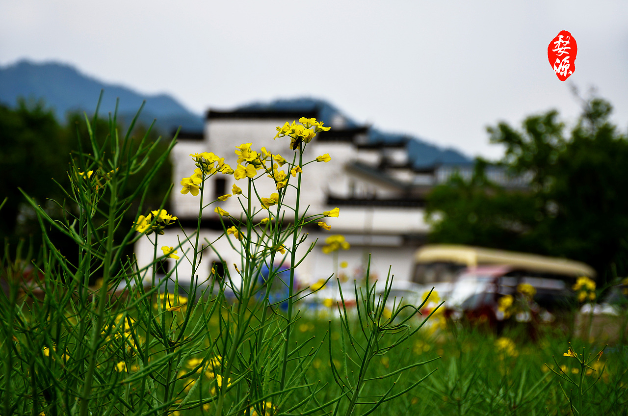 婺源（图ZMjcxOTI0ODg=） - 风光摄影 - 站酷设计师桔子供销社原创素材 - 站酷ZCOOL