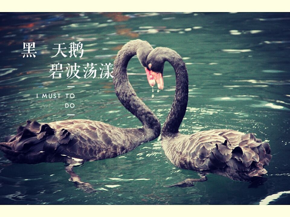 张家界、凤凰古城游记（图ZMzMwNzEwMzY=） - 风光摄影 - 站酷设计师面包肚原创素材 - 站酷ZCOOL