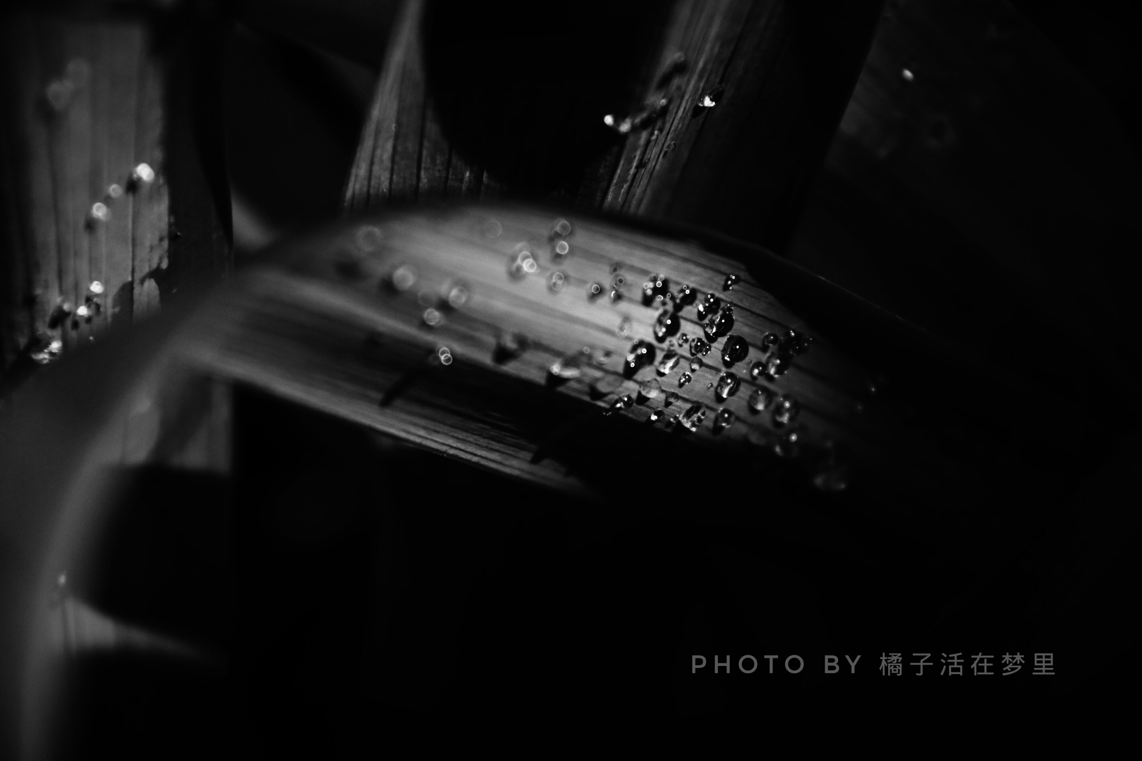 橘子活在夢(mèng)里的個(gè)人主頁(yè)（封面預(yù)覽） - 主頁(yè)封面設(shè)置 - 站酷設(shè)計(jì)師橘子活在夢(mèng)里原創(chuàng)素材 - 站酷ZCOOL