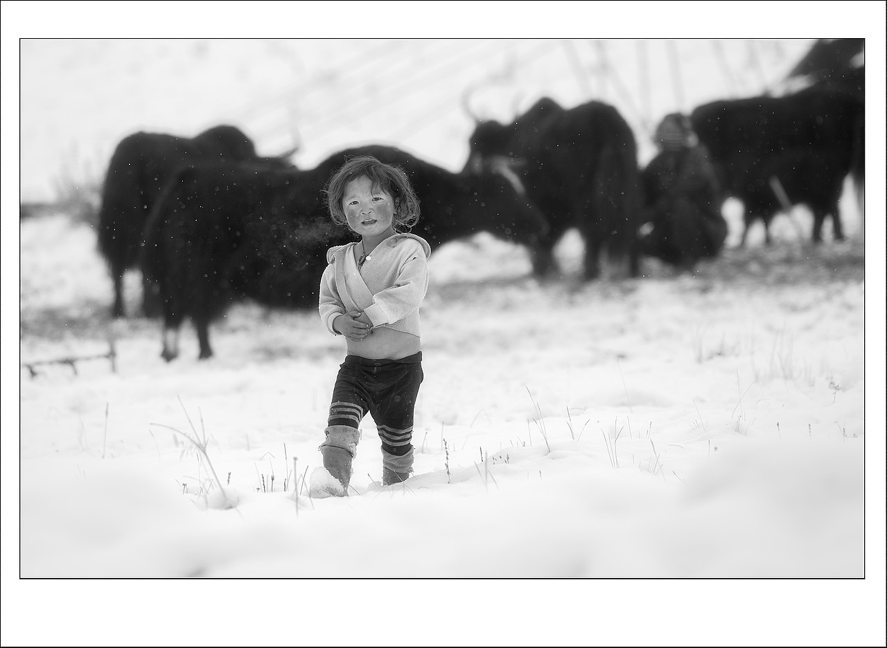 高原雏鹰（图ZNjQxOTUwODA=） - 人文/纪实摄影 - 站酷设计师雨萌1994原创素材 - 站酷ZCOOL