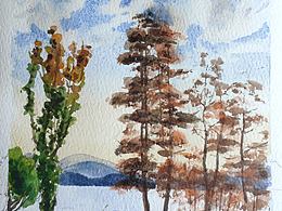 水彩风景小练习